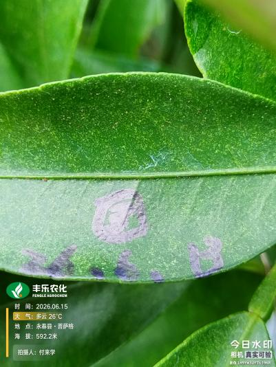 1787622279677 图片3