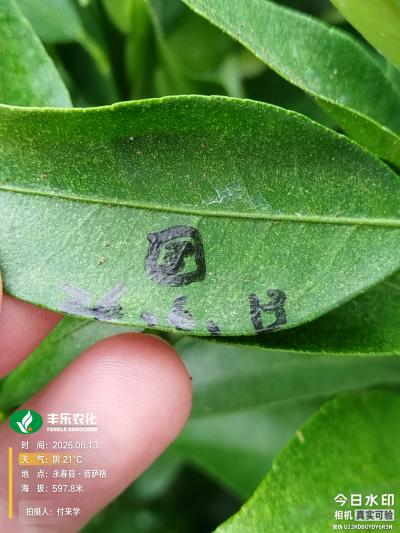 1787622310308 图片6